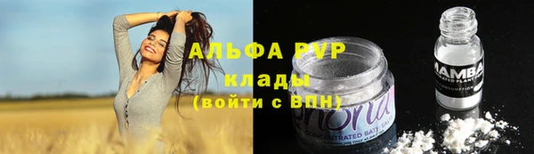 стаф Абаза
