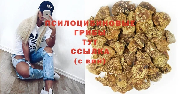 стаф Абаза