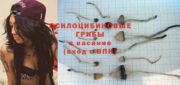 мдпв Абдулино