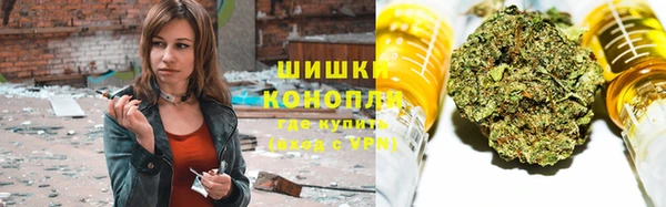 соль ск Алексин